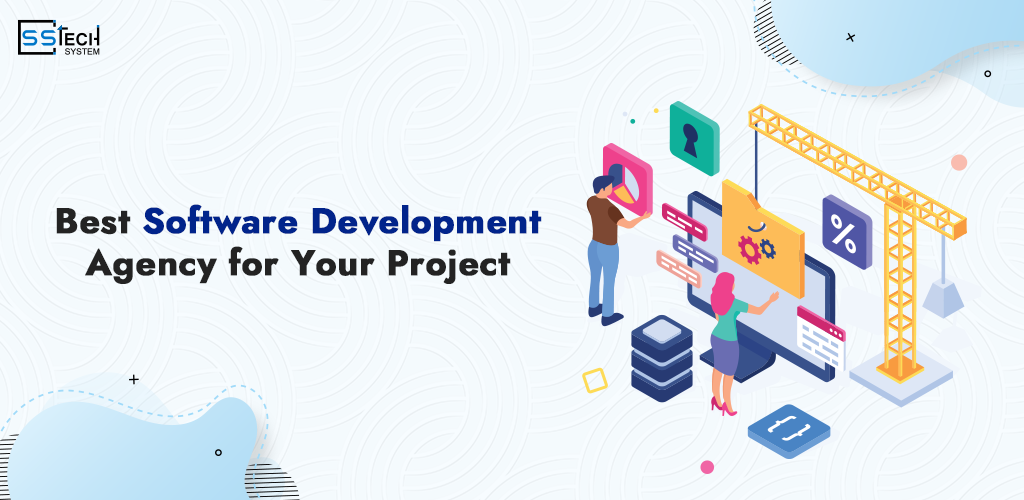 How to find the best software development agency for your project?