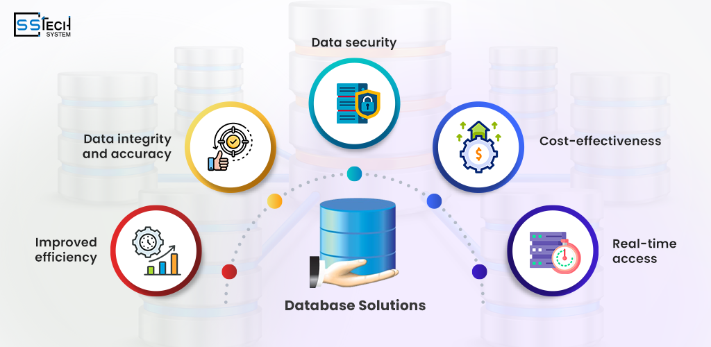 The Importance of Database Solutions